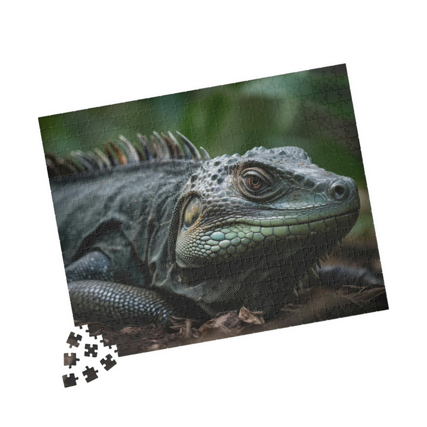 Iguana Puzzle (500, 1014-piece)
