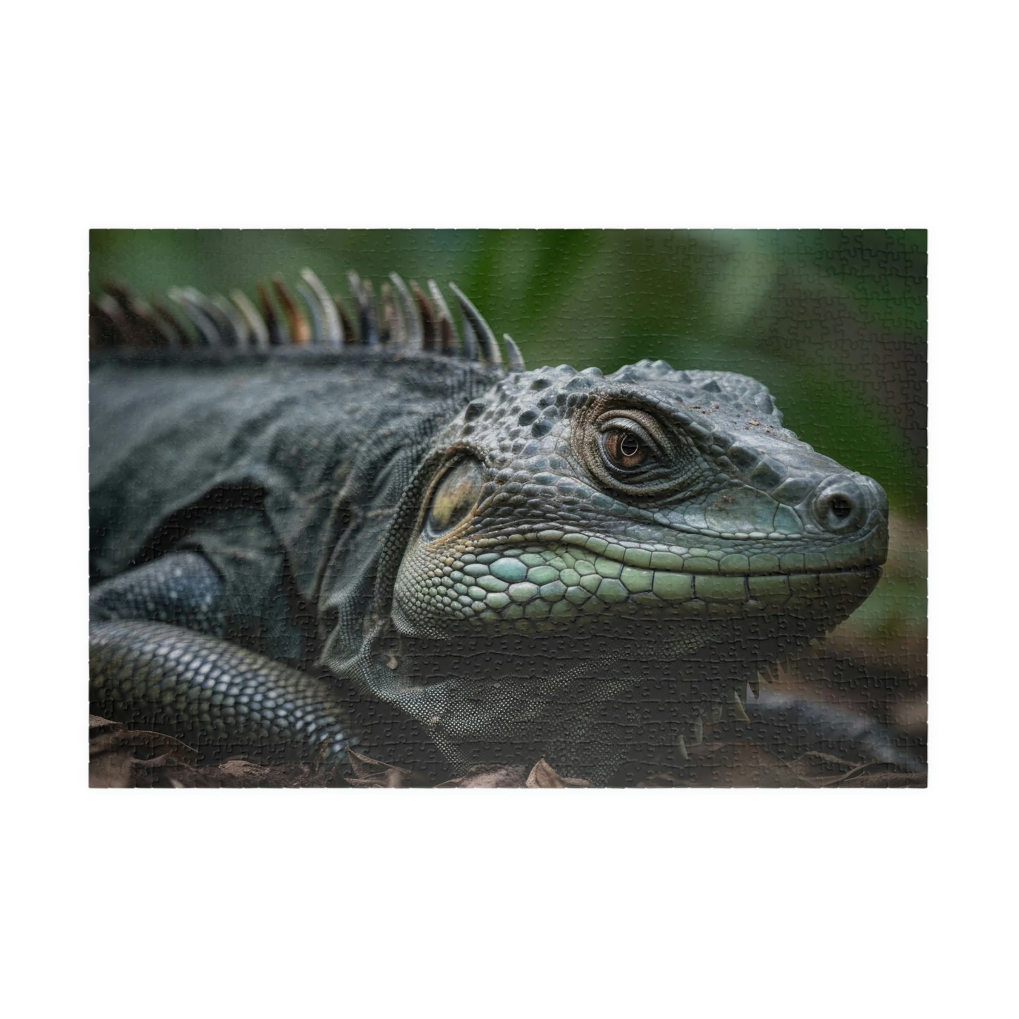 Iguana Puzzle (500, 1014-piece)