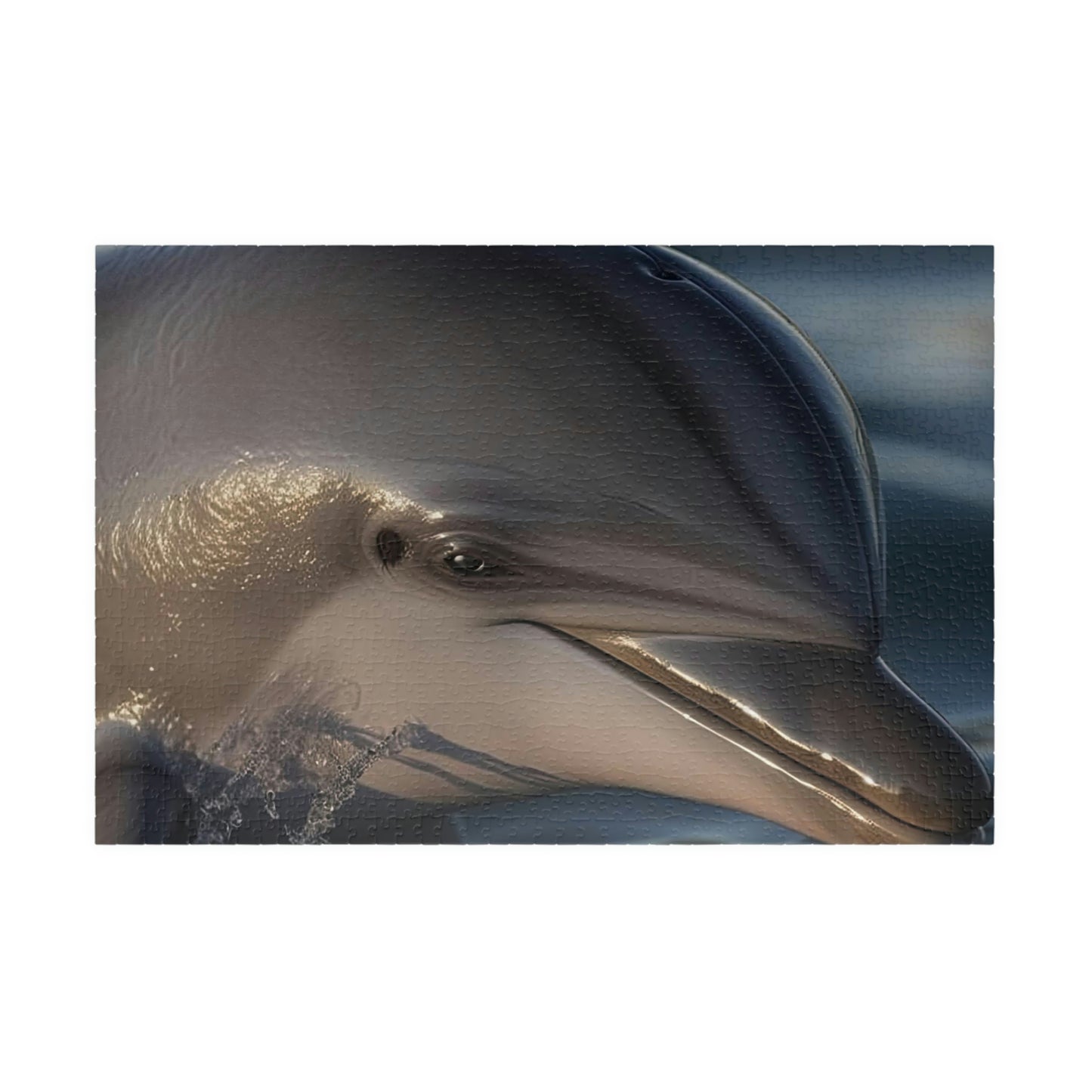 Dolphin Puzzle (500, 1014-piece)