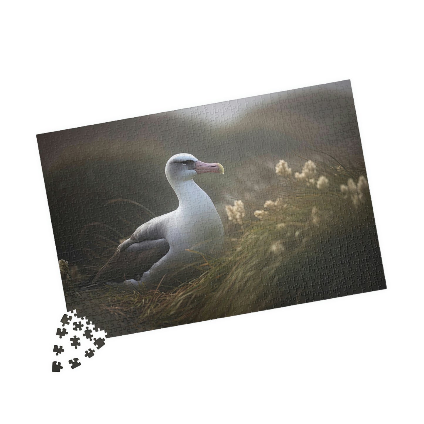 albatross puzzle pieces