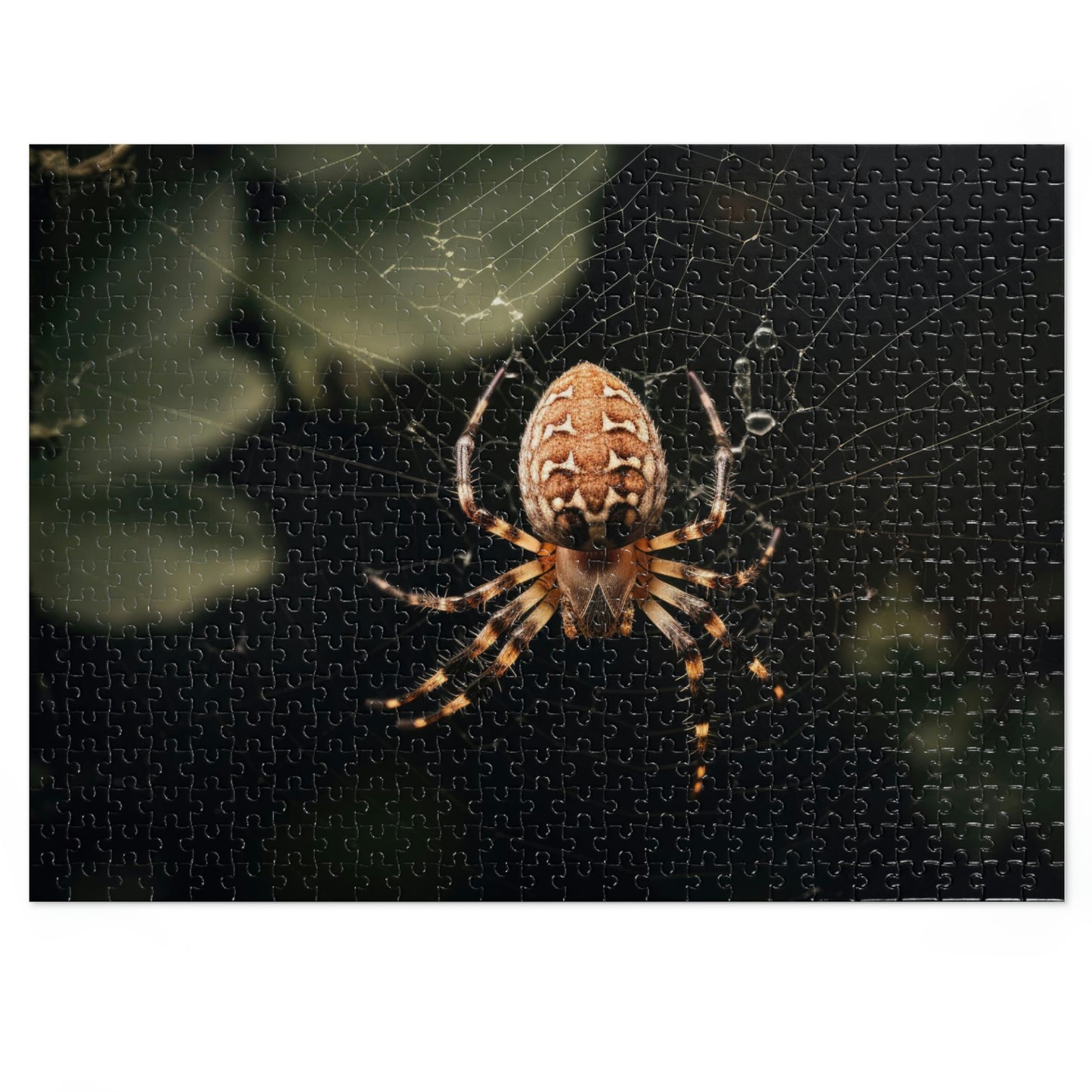 Spider in a Web 3 Puzzle  (500, 1000 pc)