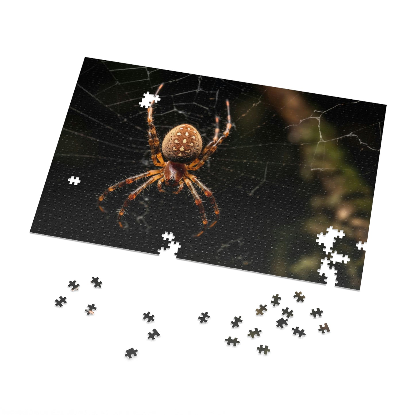 Spider in a Web 2 Puzzle  (500, 1000 pc)