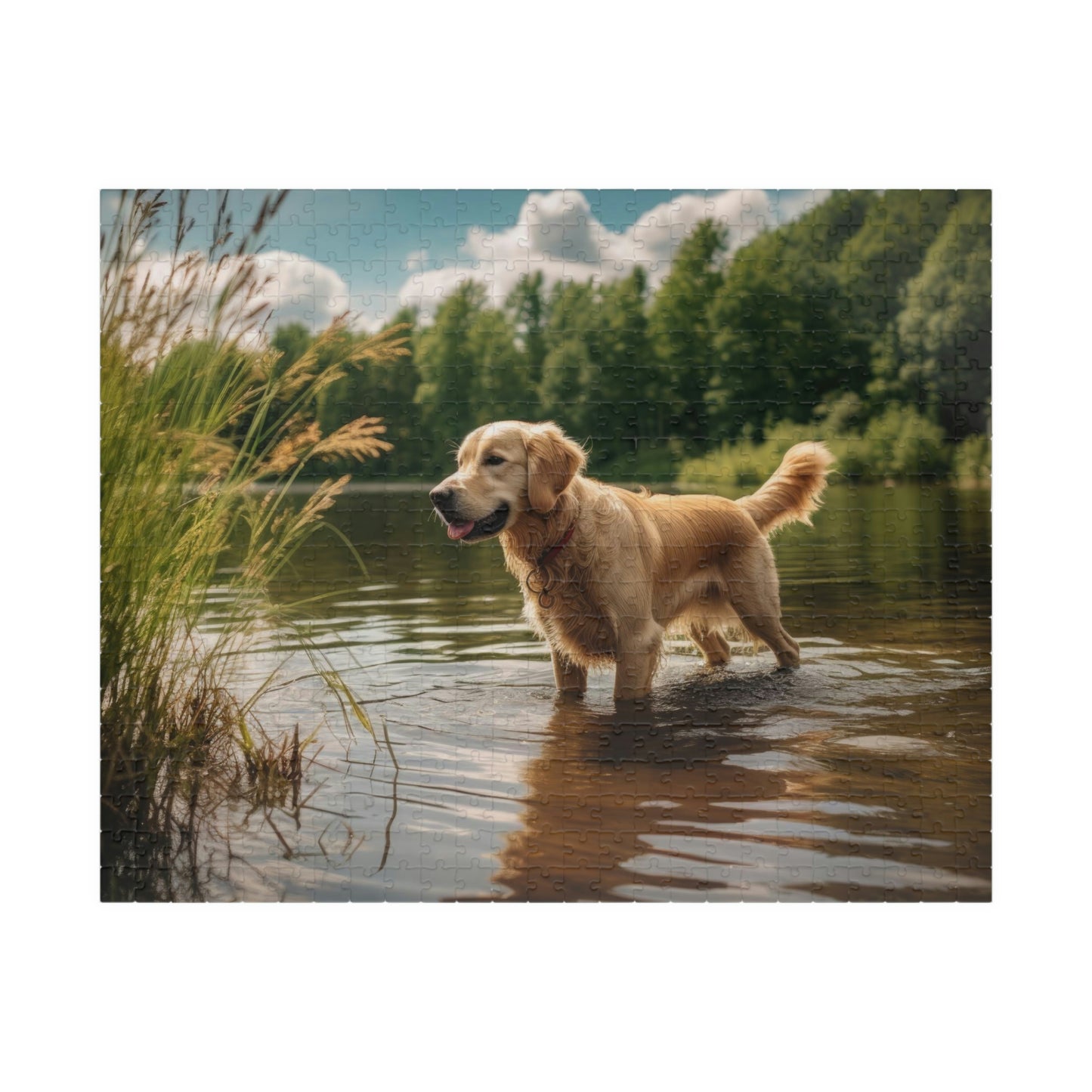 Golden Retriever Puzzle (500, 1014-piece)