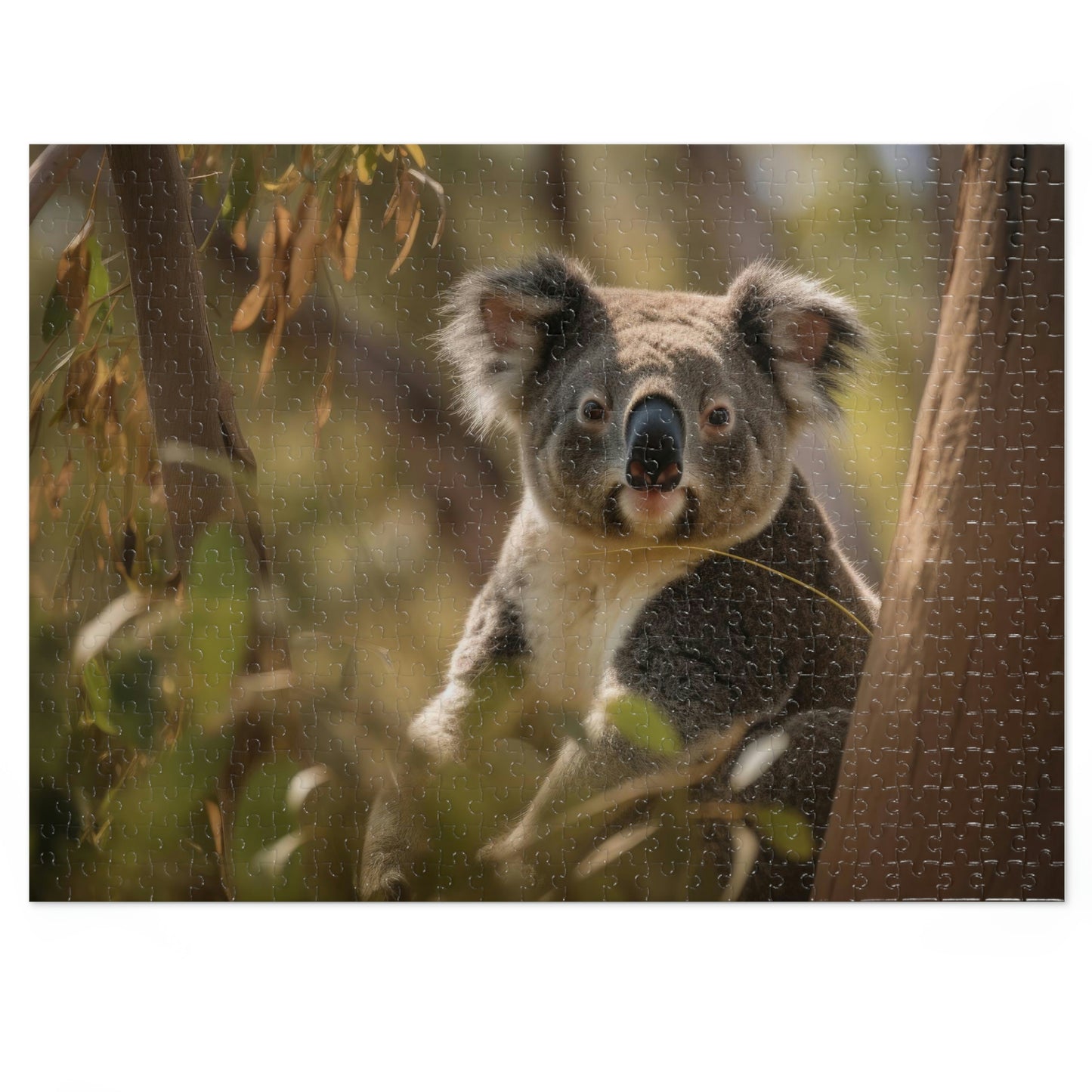 Koala's Tranquil Siesta 3 (500, 1000 piece)