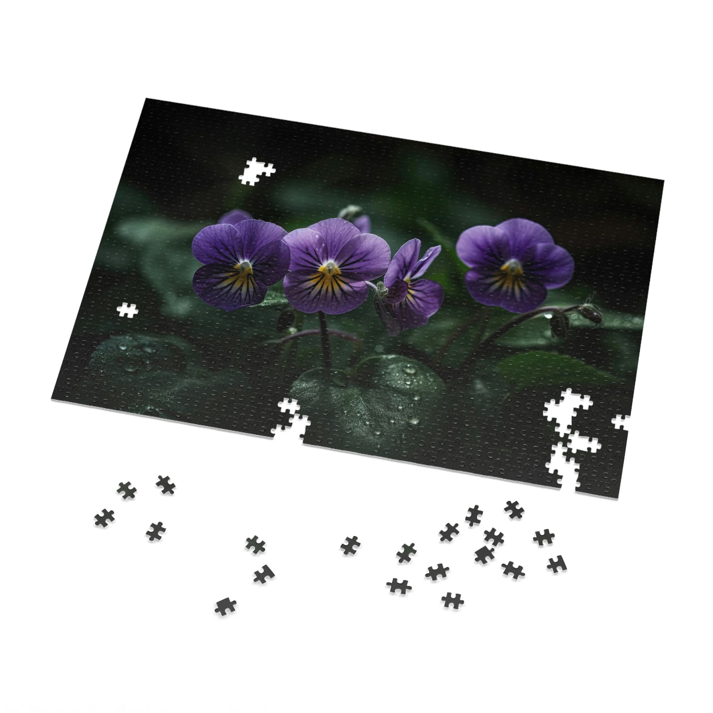 Enchanting Violets 1 Puzzle : (500, 1000 pc)