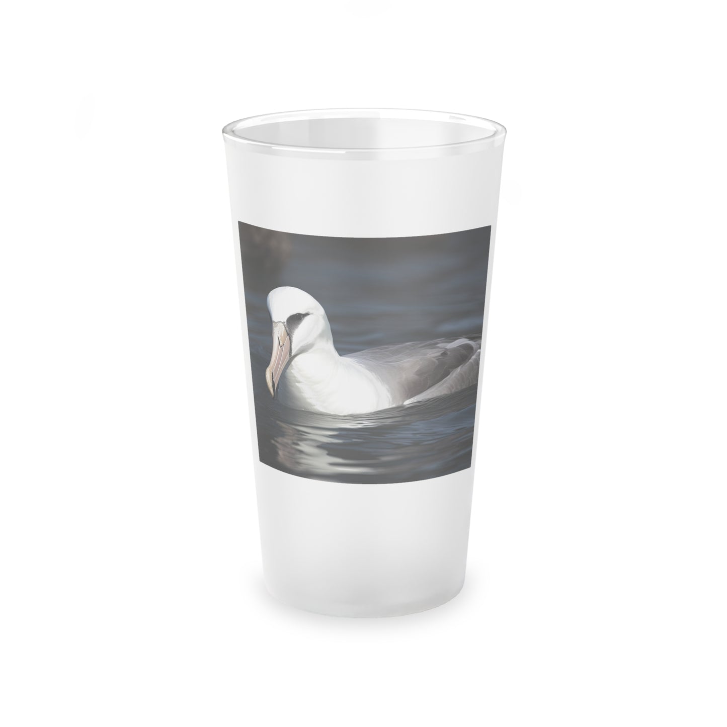 albatross glass