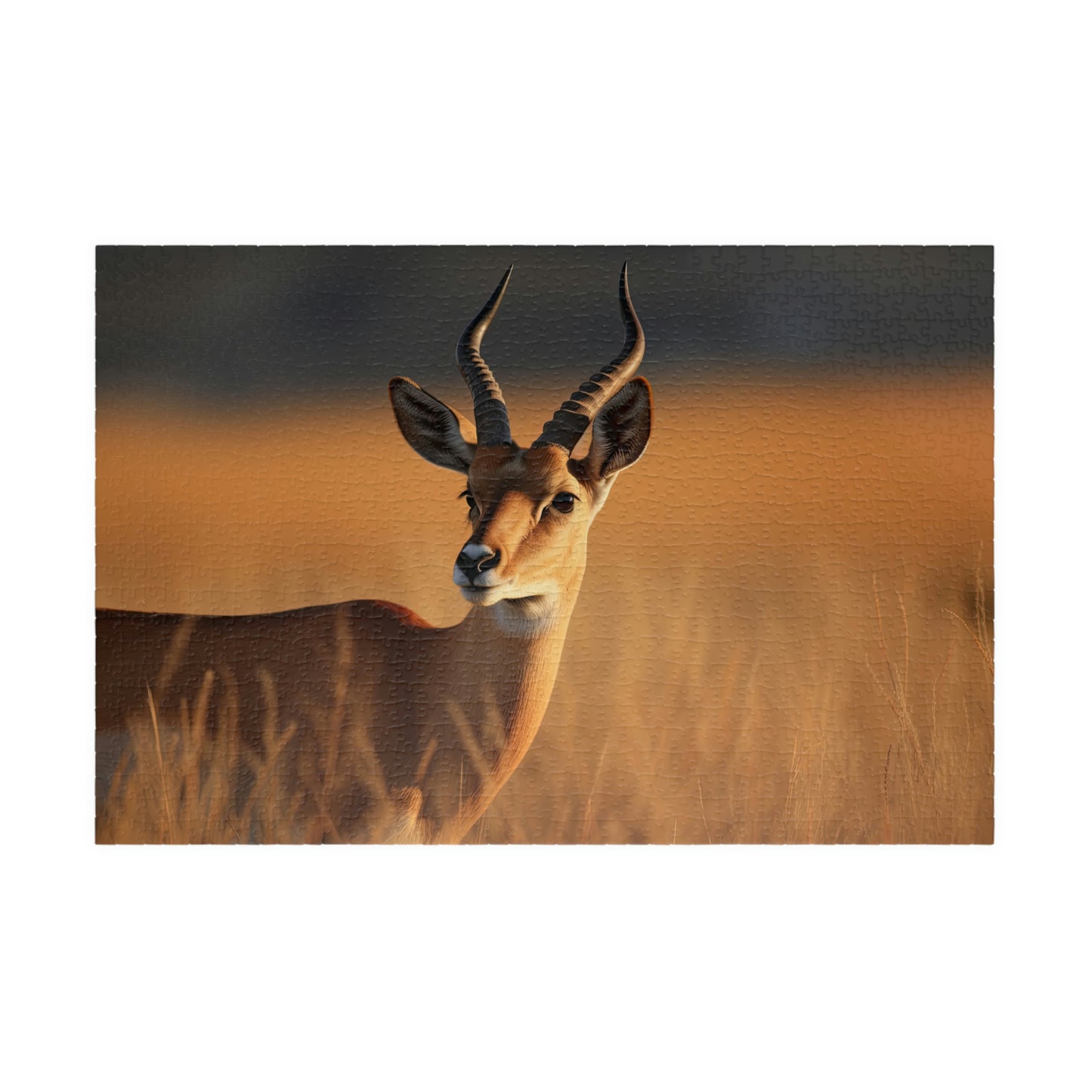 antelope puzzle