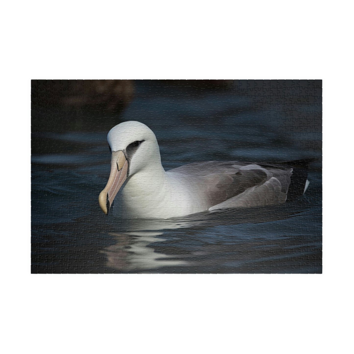Albatross puzzle