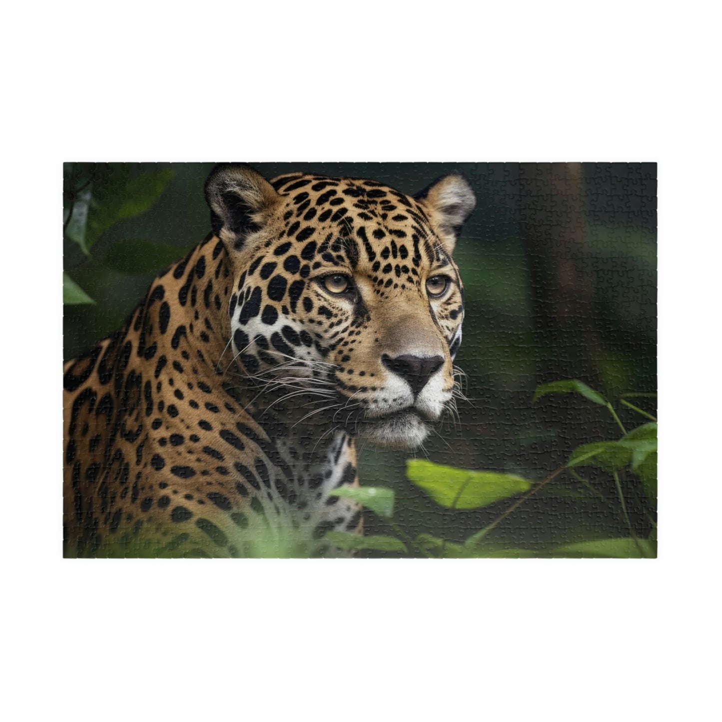Jaguar Puzzle (500, 1014-piece)