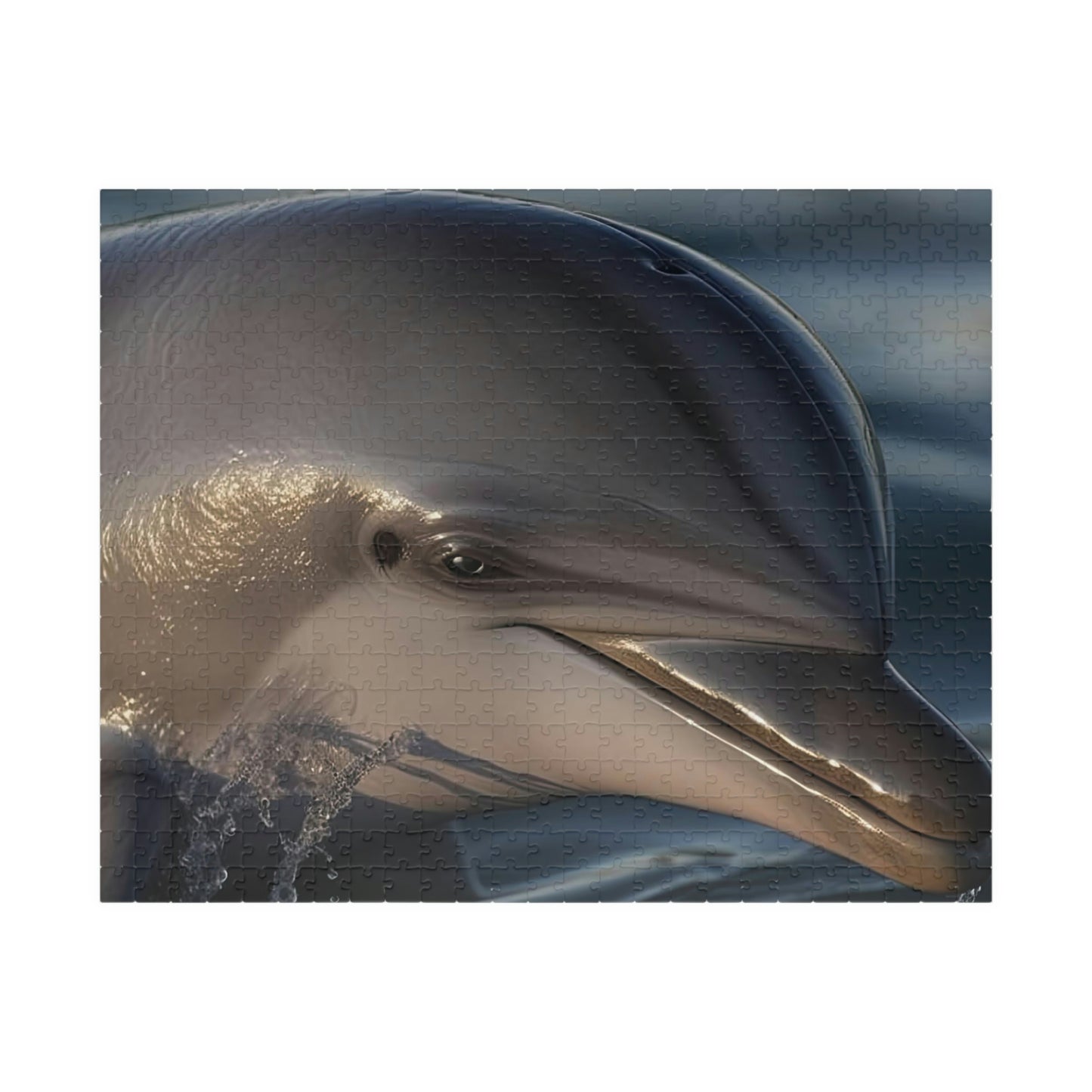Dolphin Puzzle (500, 1014-piece)