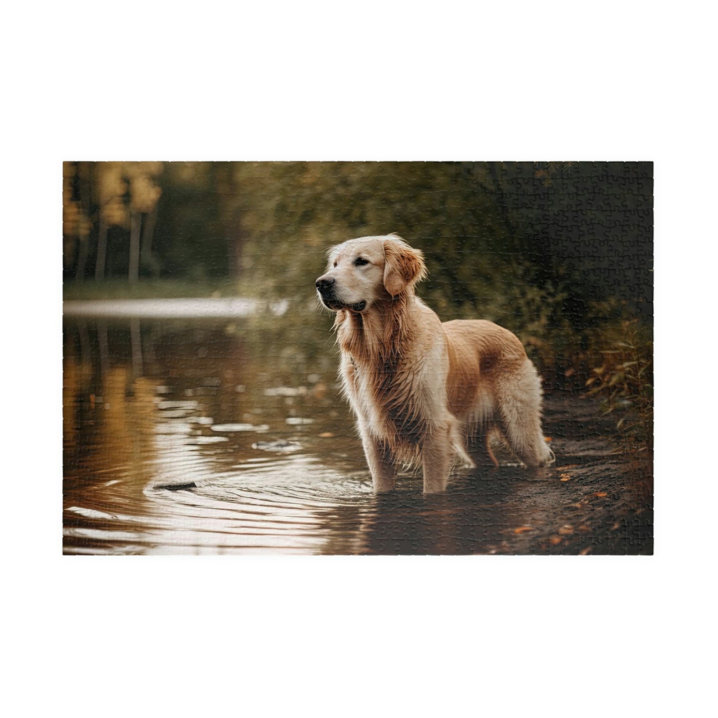 Golden Retriever Puzzle (500, 1014-piece)