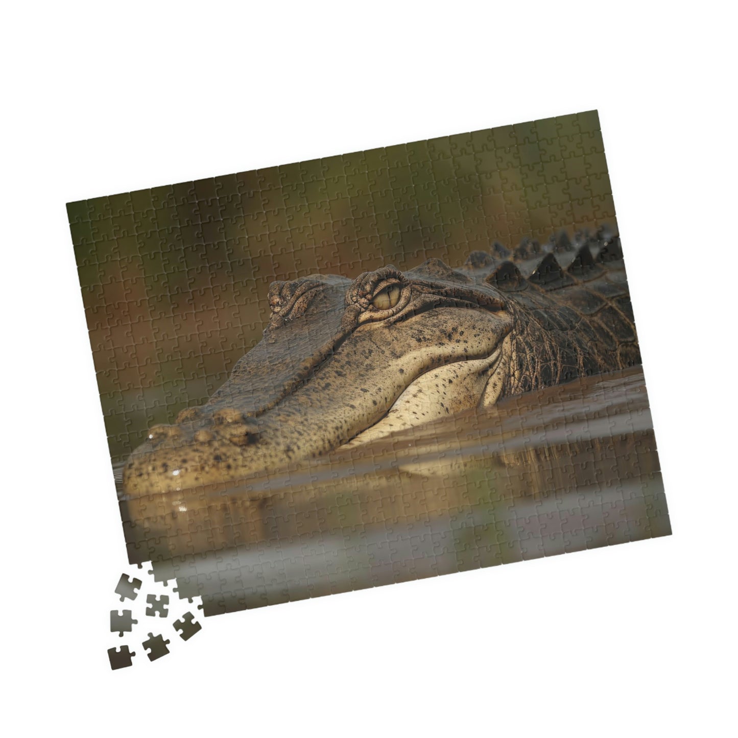 Crocodile Puzzle (500, 1014-piece)