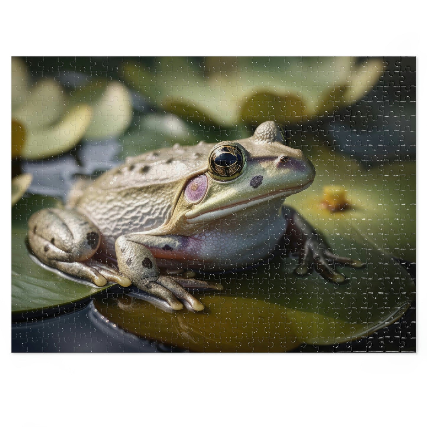 Frog's Waterlily 1 (500, 1000 piece)