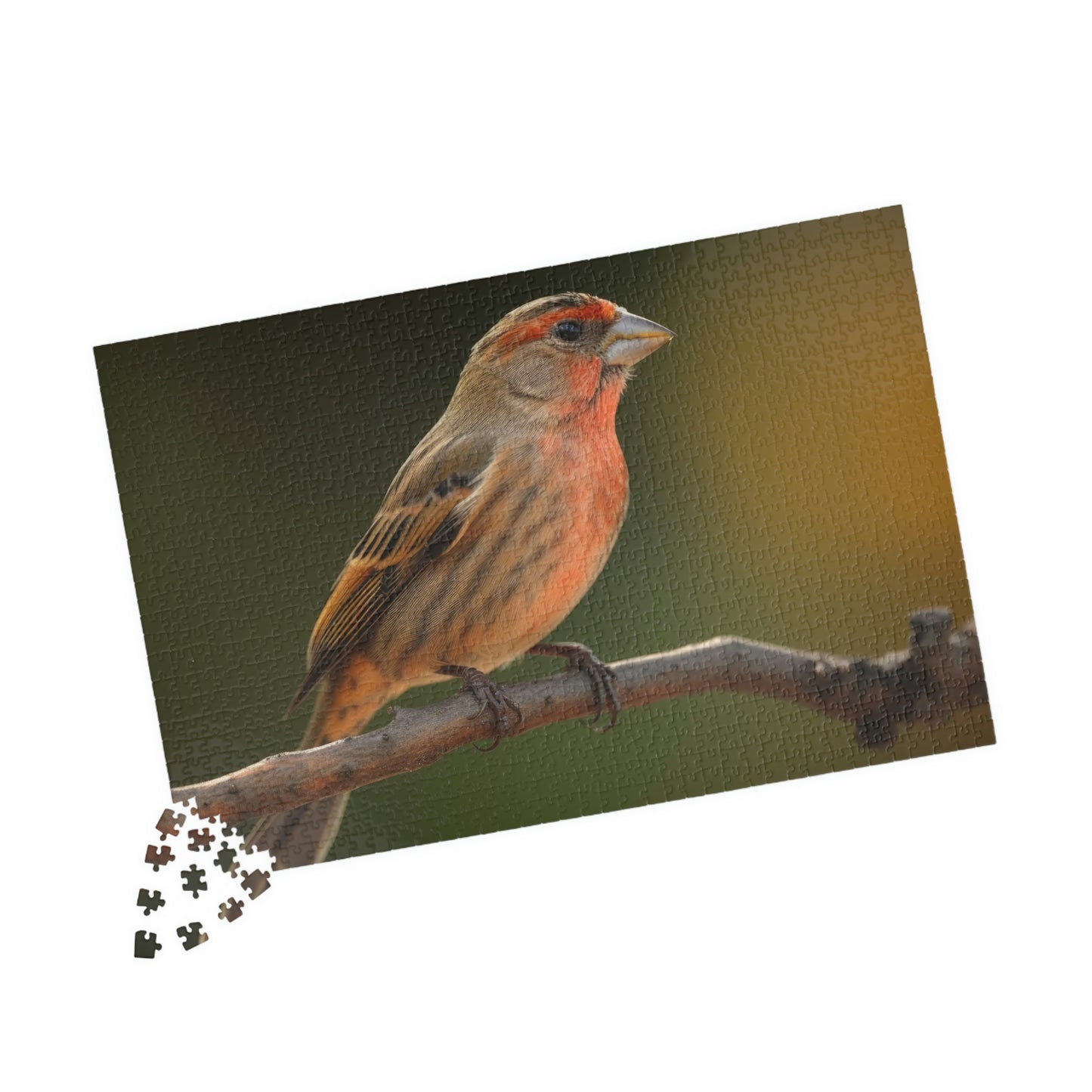 Finch Puzzle (500, 1014-piece)