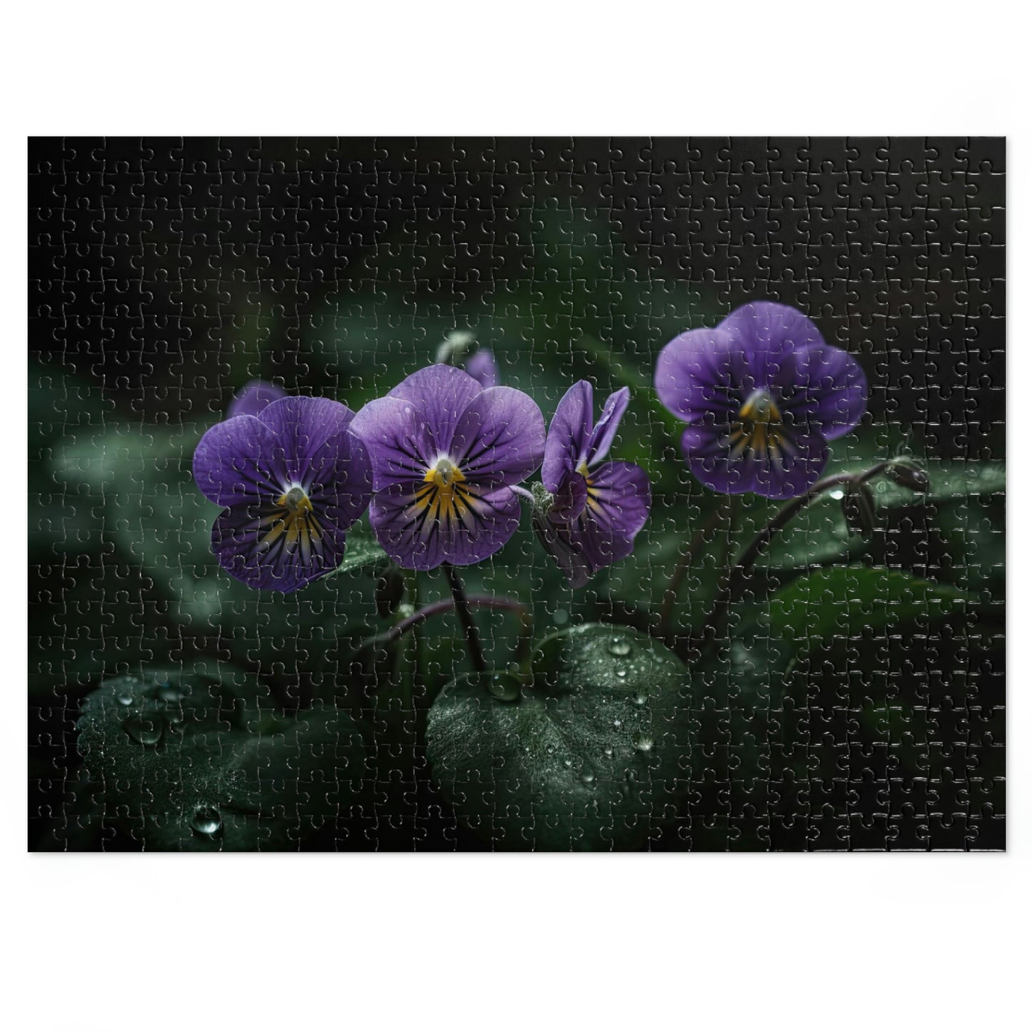 Enchanting Violets 1 Puzzle : (500, 1000 pc)