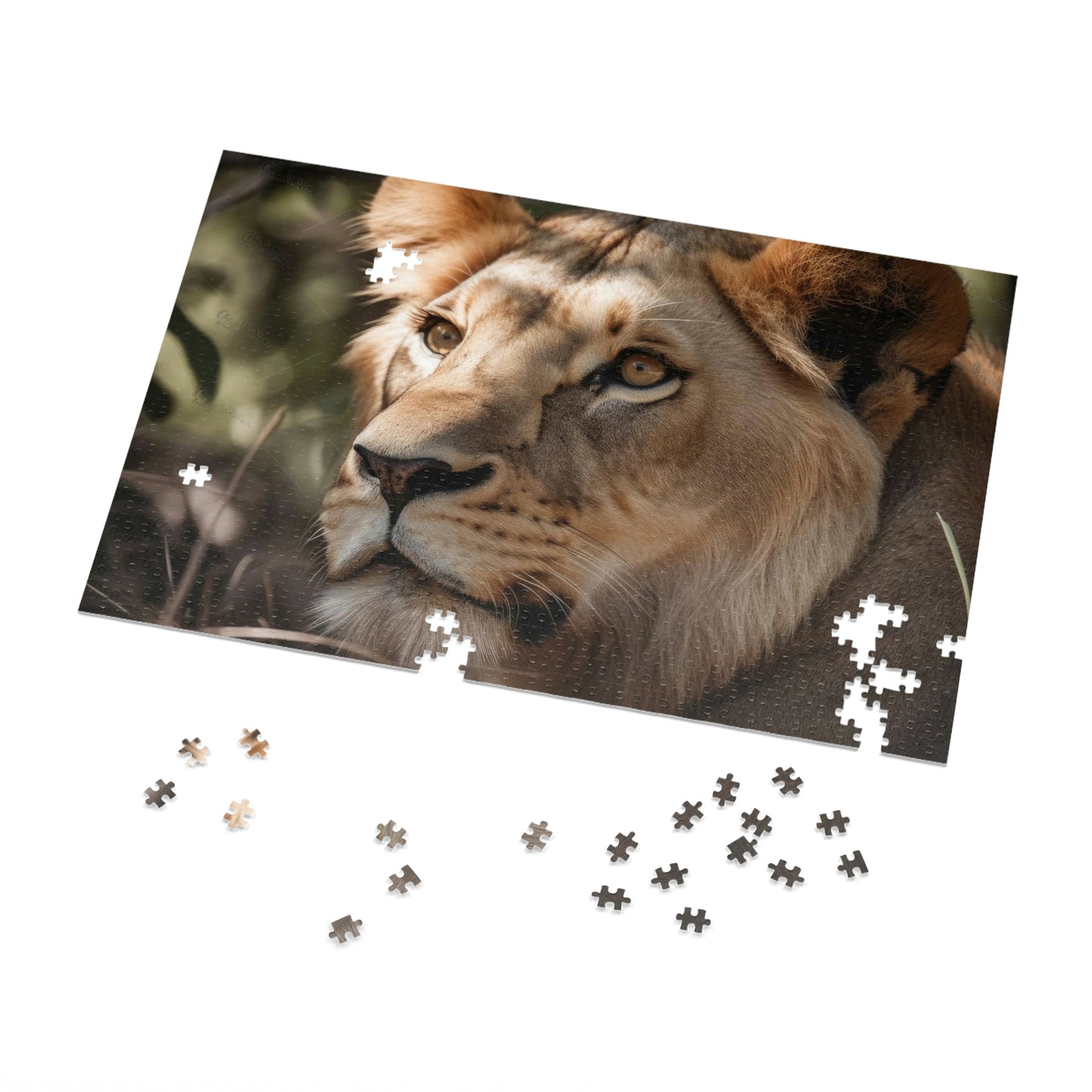 Majestic Lion 2 Puzzle: (500, 1000 pc)