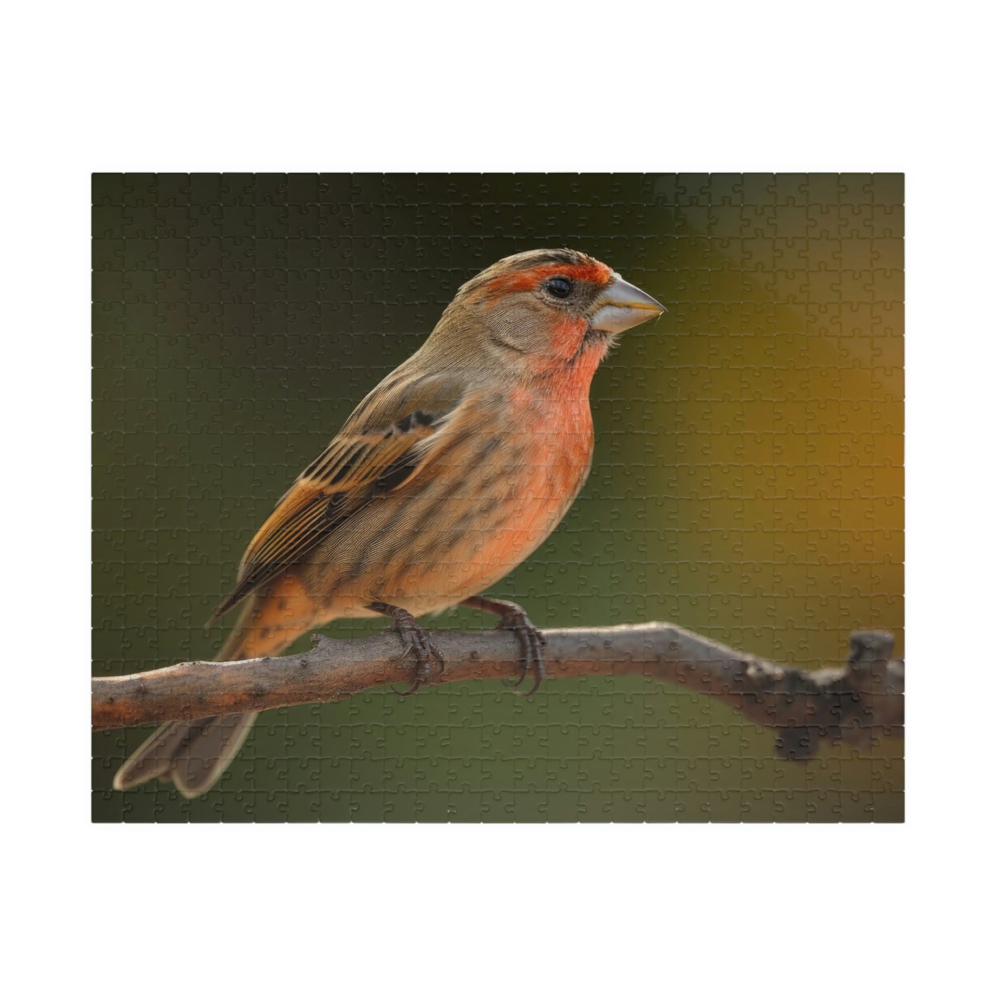 Finch Puzzle (500, 1014-piece)