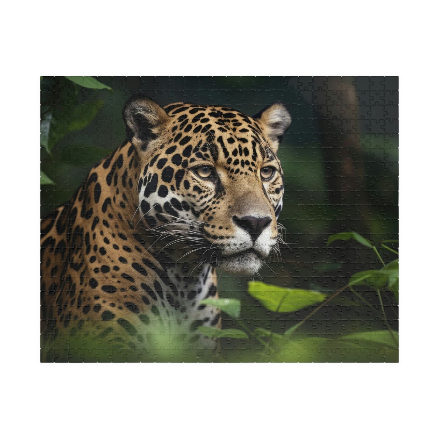 Jaguar Puzzle (500, 1014-piece)