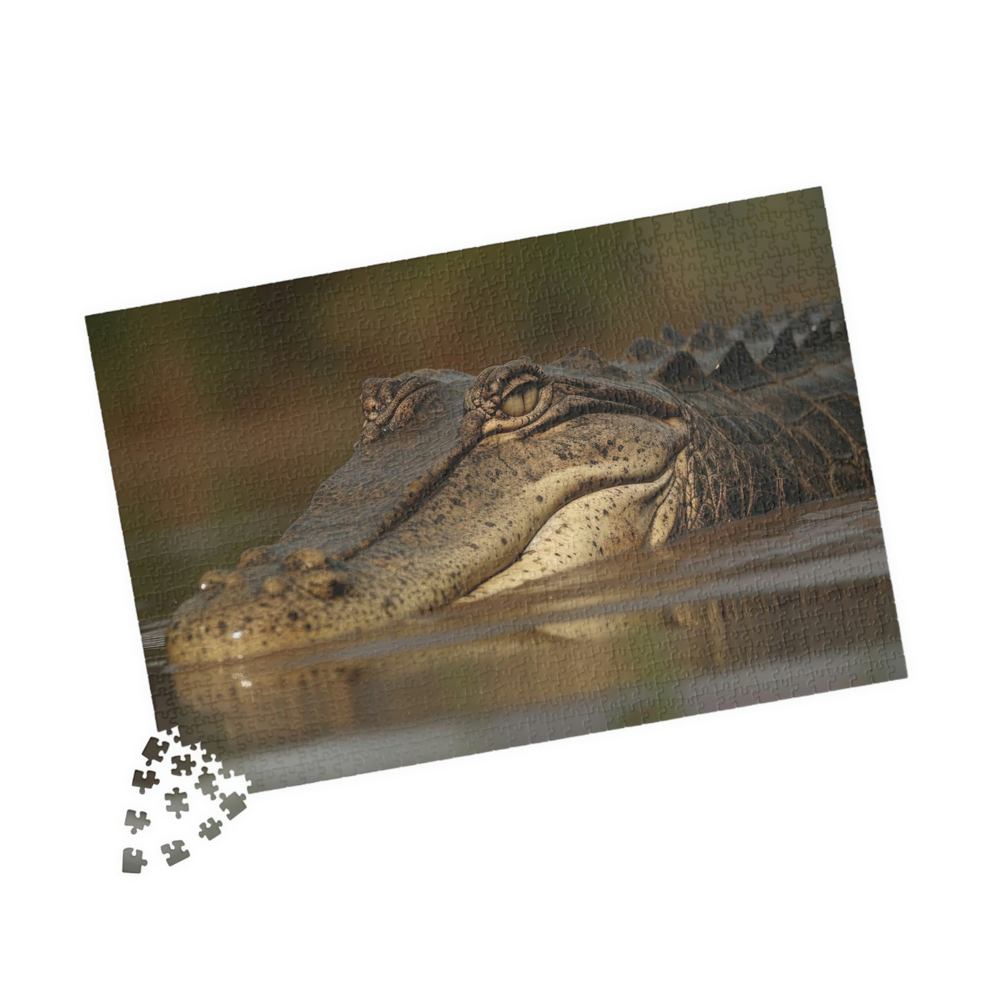Crocodile Puzzle (500, 1014-piece)