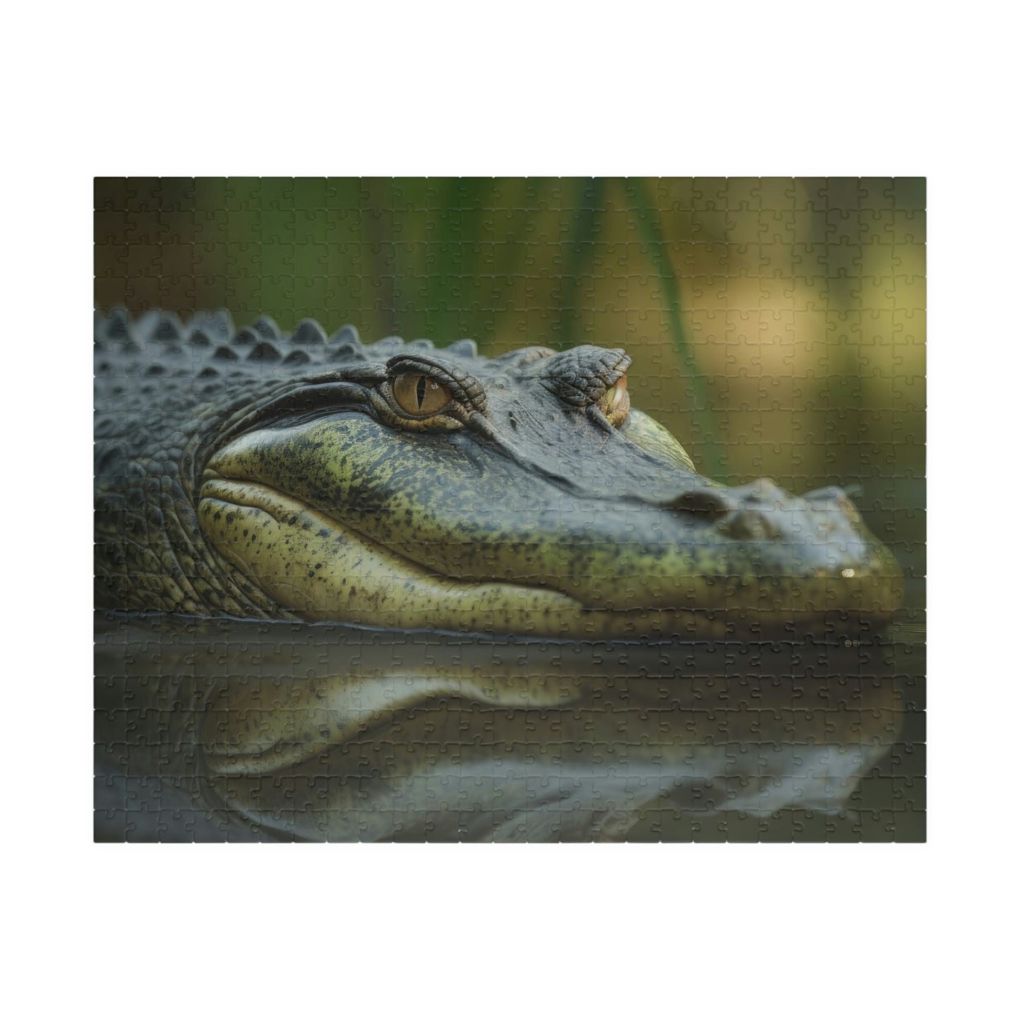 alligator puzzle
