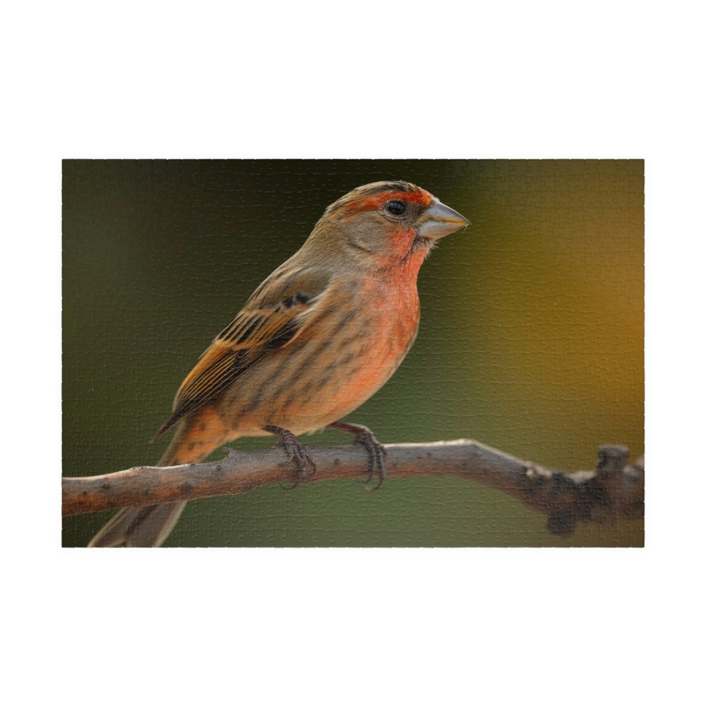 Finch Puzzle (500, 1014-piece)