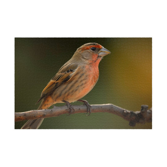 Finch Puzzle (500, 1014-piece)