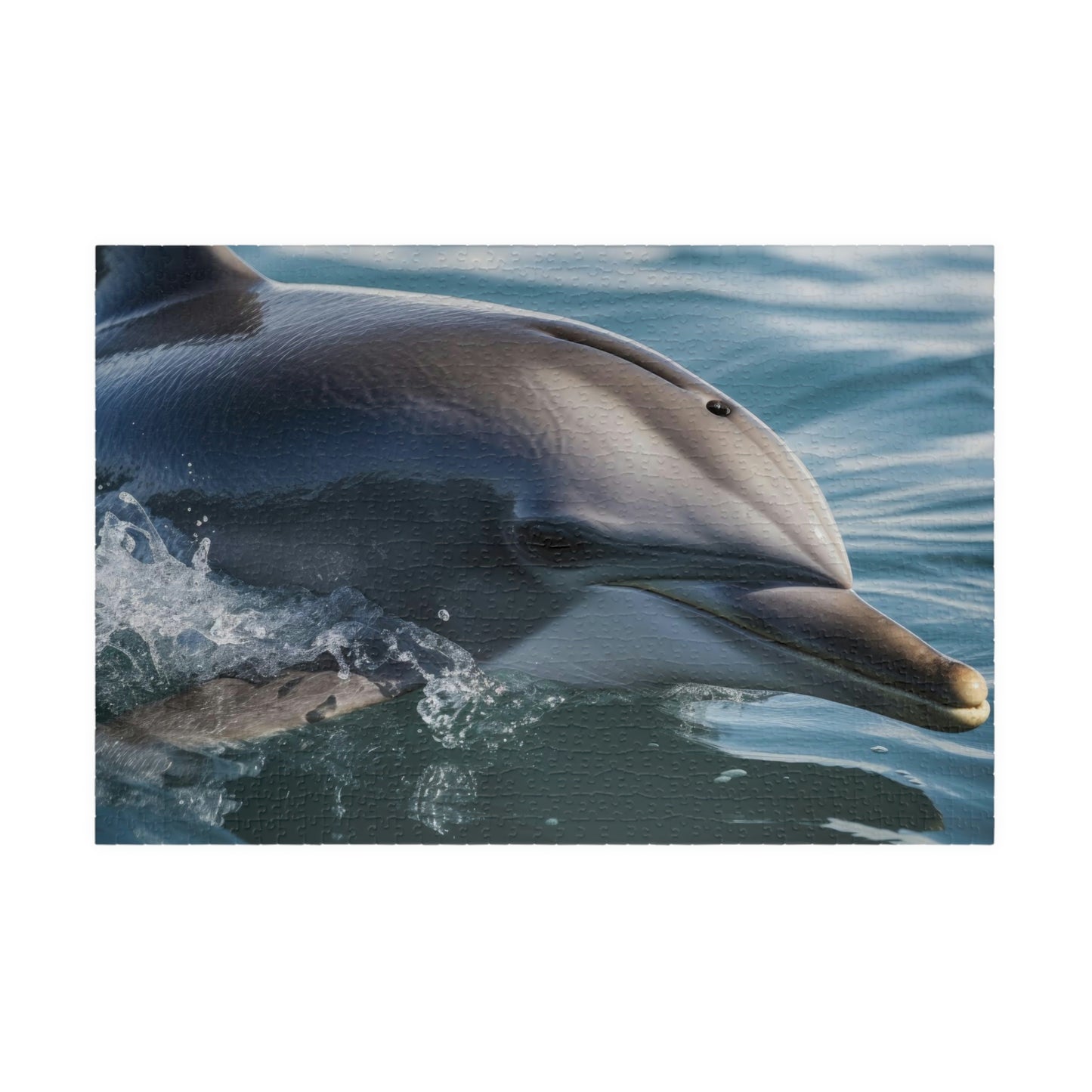 Dolphin Puzzle (500, 1014-piece)