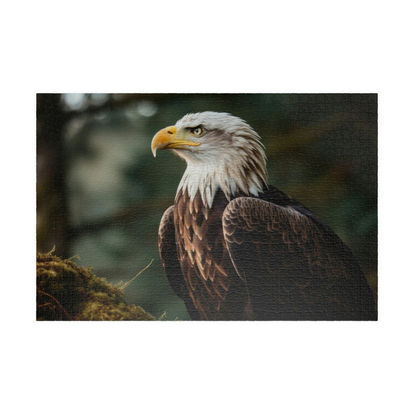 Eagle Puzzle (500, 1014-piece)