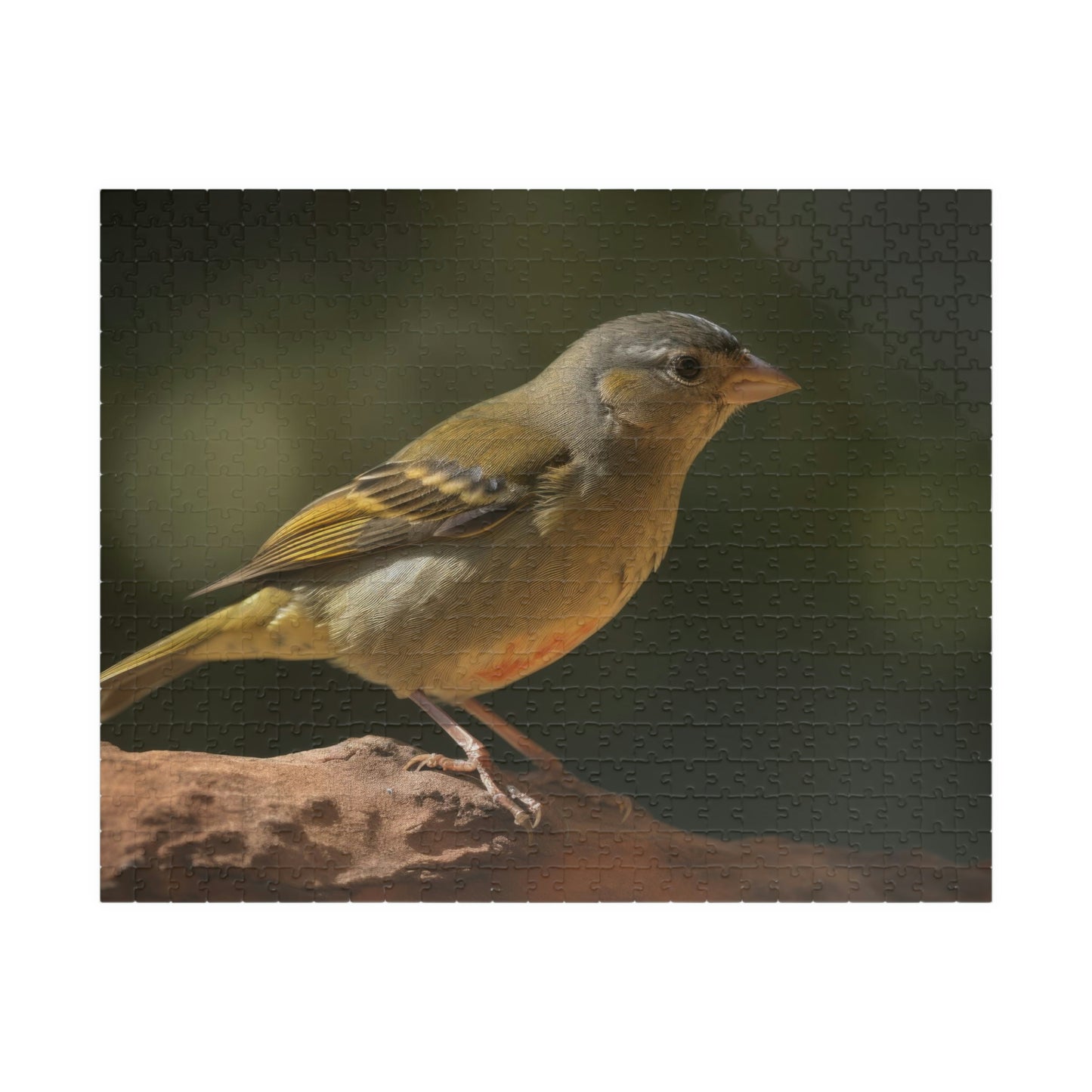 Finch Puzzle (500, 1014-piece)