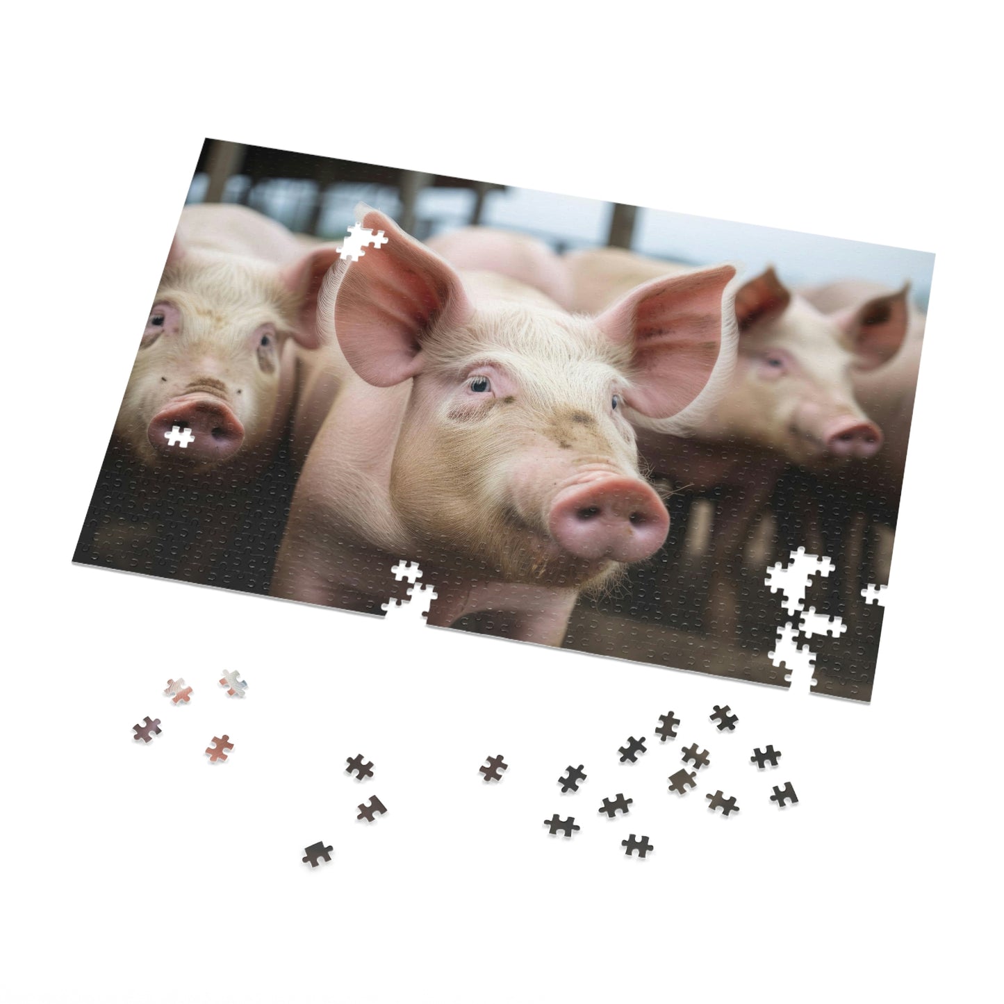Pigs Puzzle 1: (500, 1000 piece)