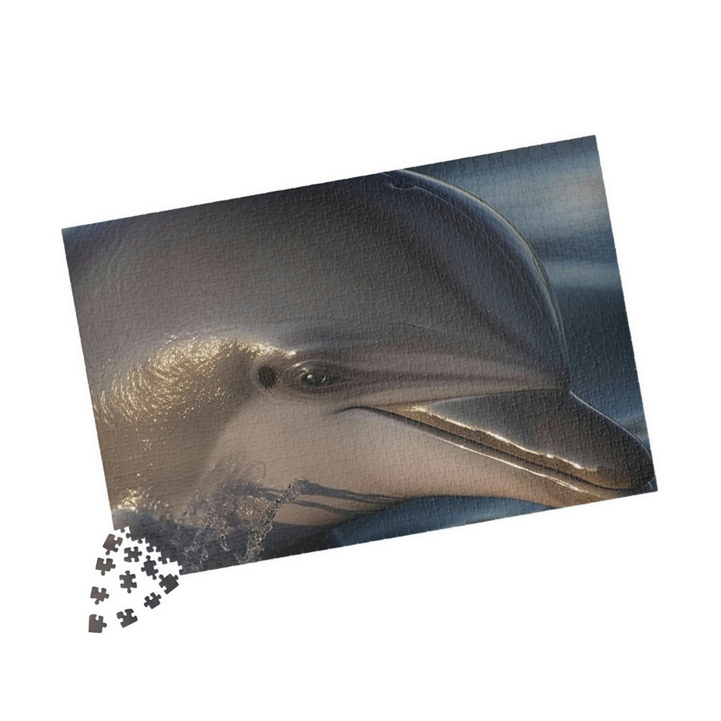 Dolphin Puzzle (500, 1014-piece)