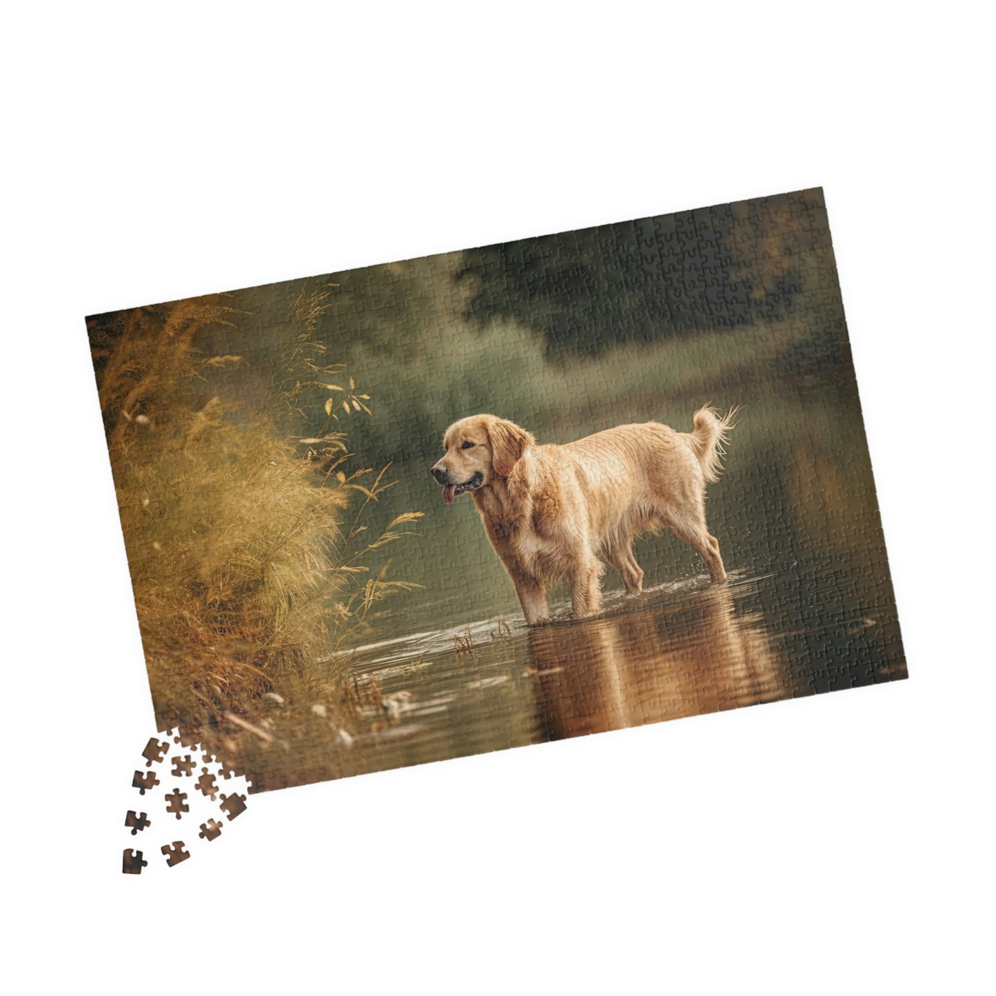 Golden Retriever Puzzle (500, 1014-piece)