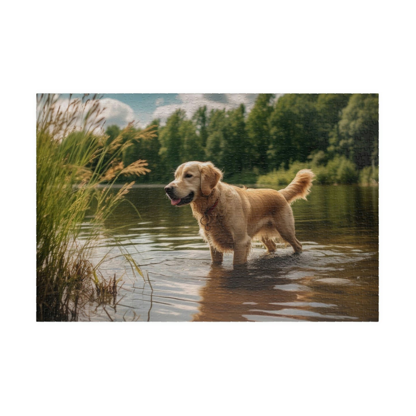 Golden Retriever Puzzle (500, 1014-piece)