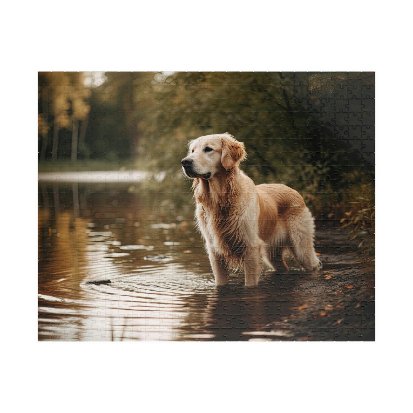Golden Retriever Puzzle (500, 1014-piece)