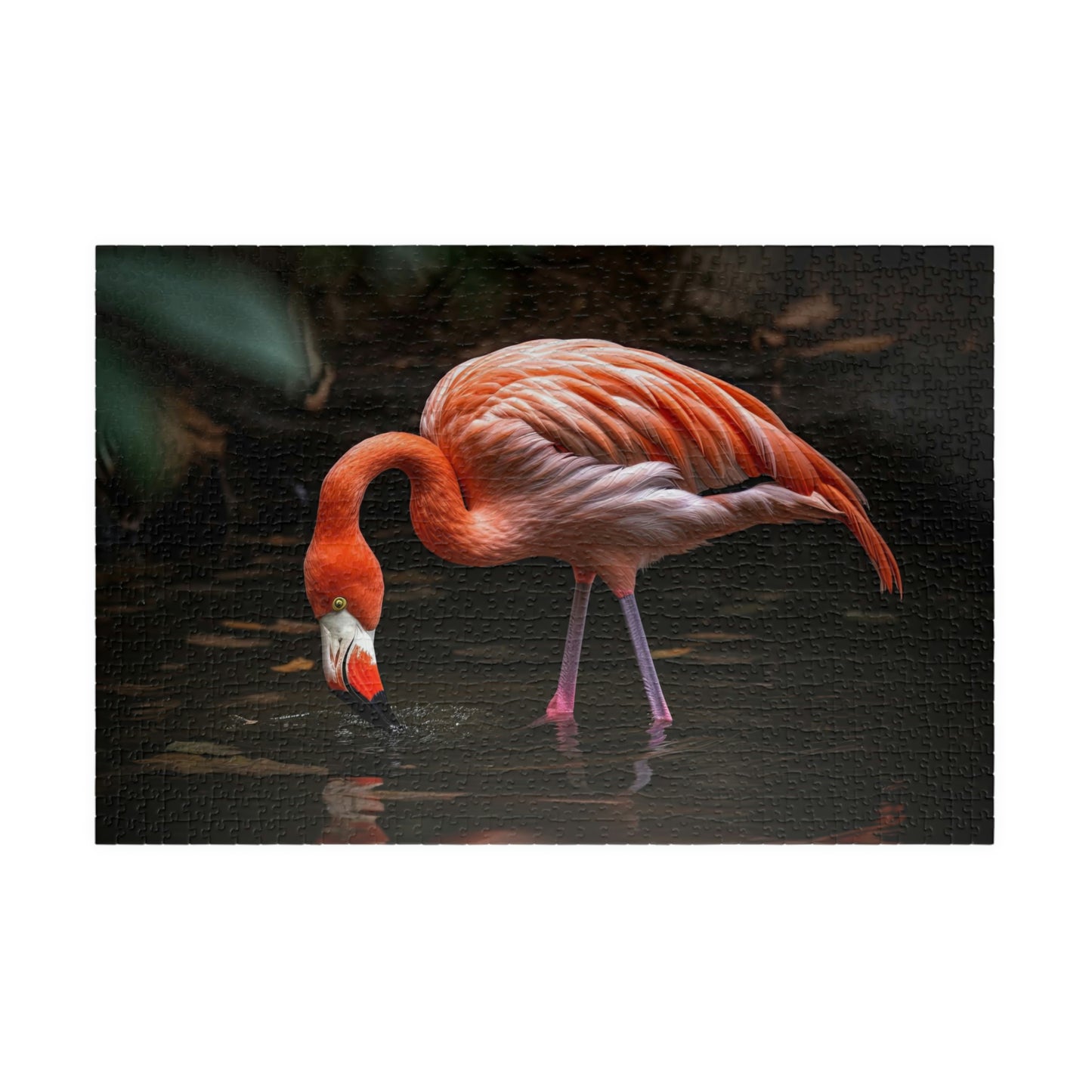 Flamingo Puzzle (500, 1014-piece)
