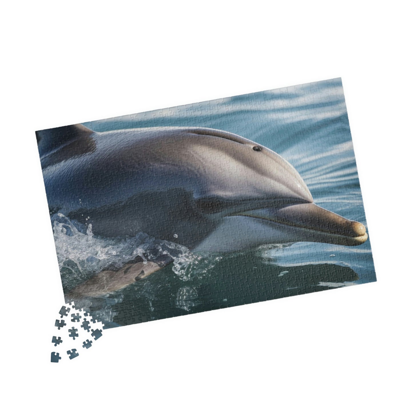 Dolphin Puzzle (500, 1014-piece)