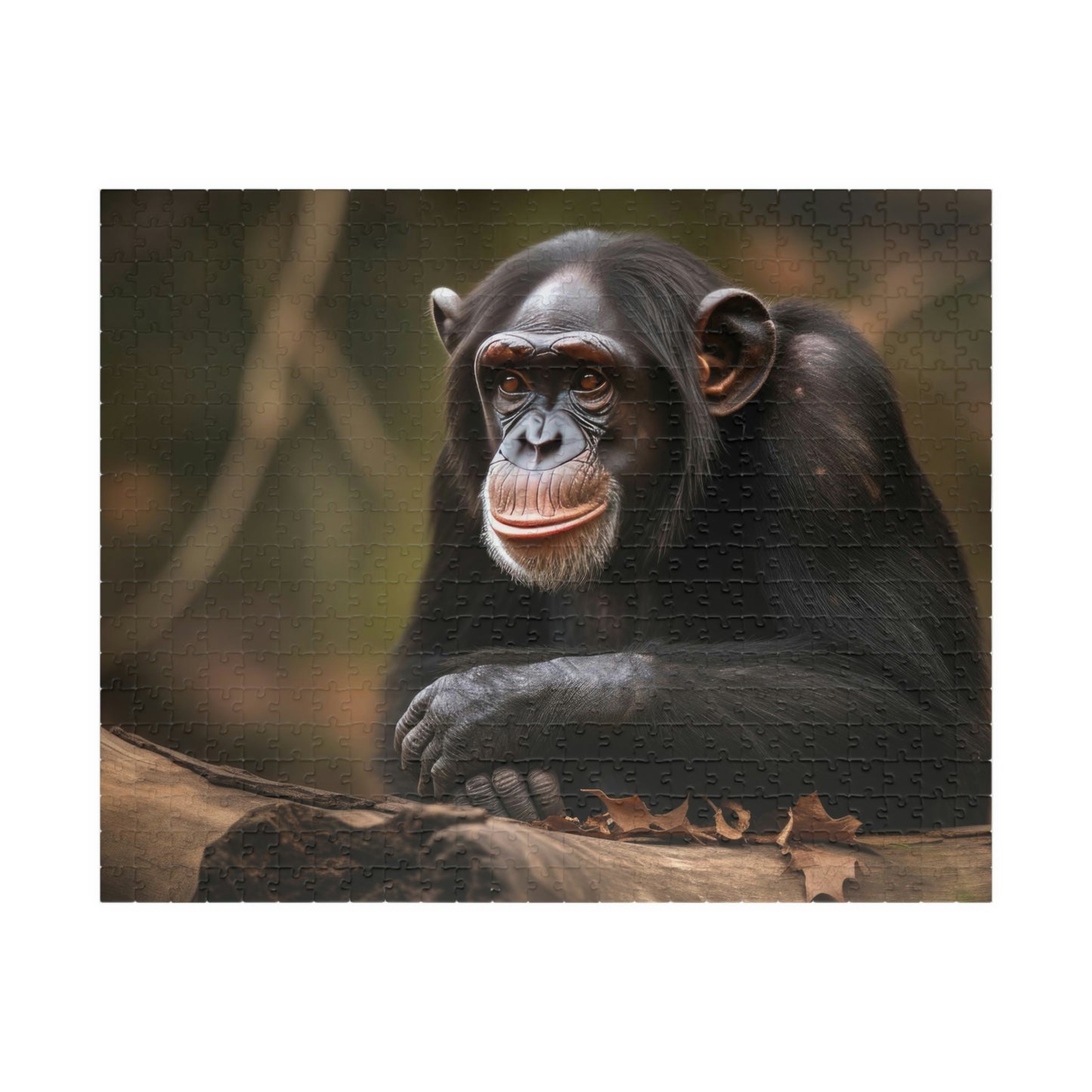 chimpanzee jigsaw puzzle