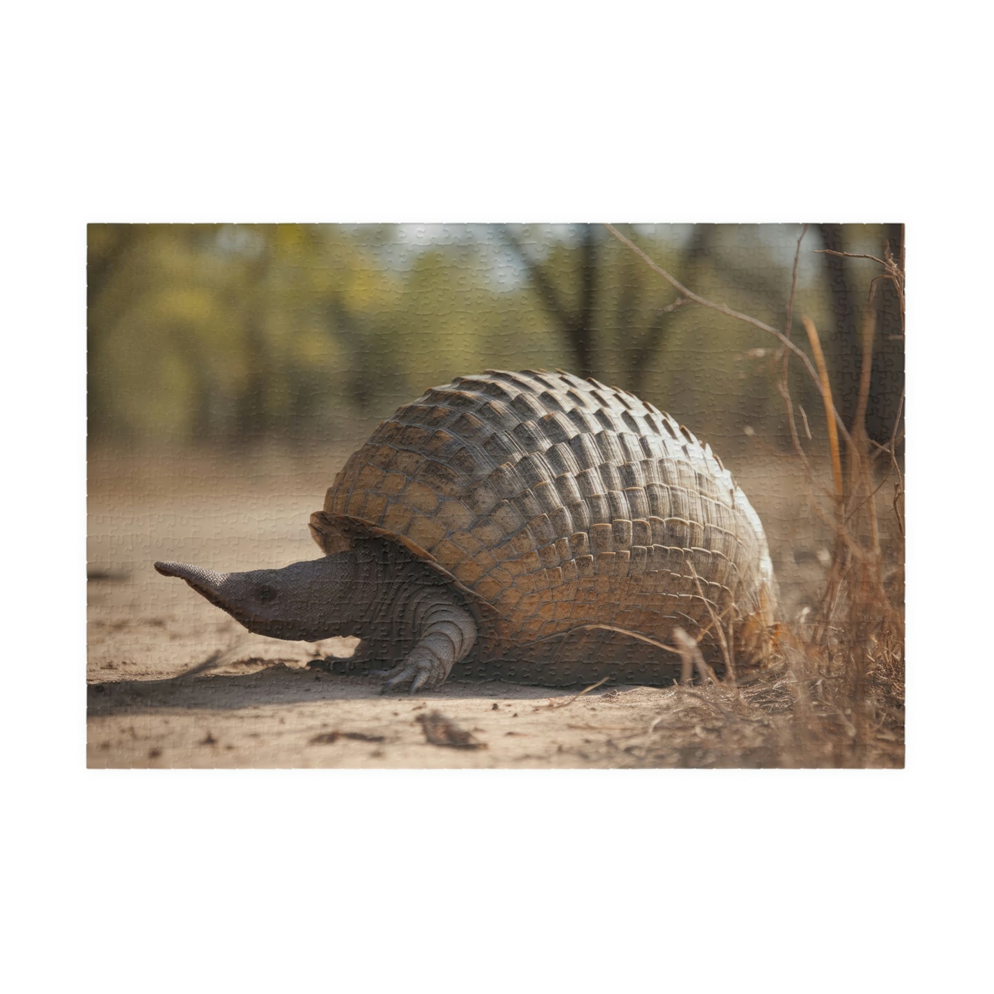 armadillo jigsaw puzzle