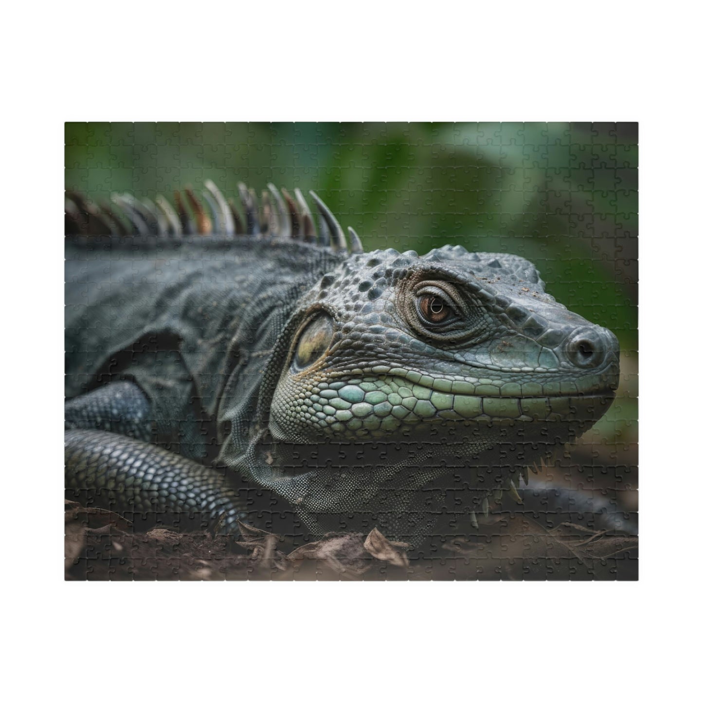 Iguana Puzzle (500, 1014-piece)