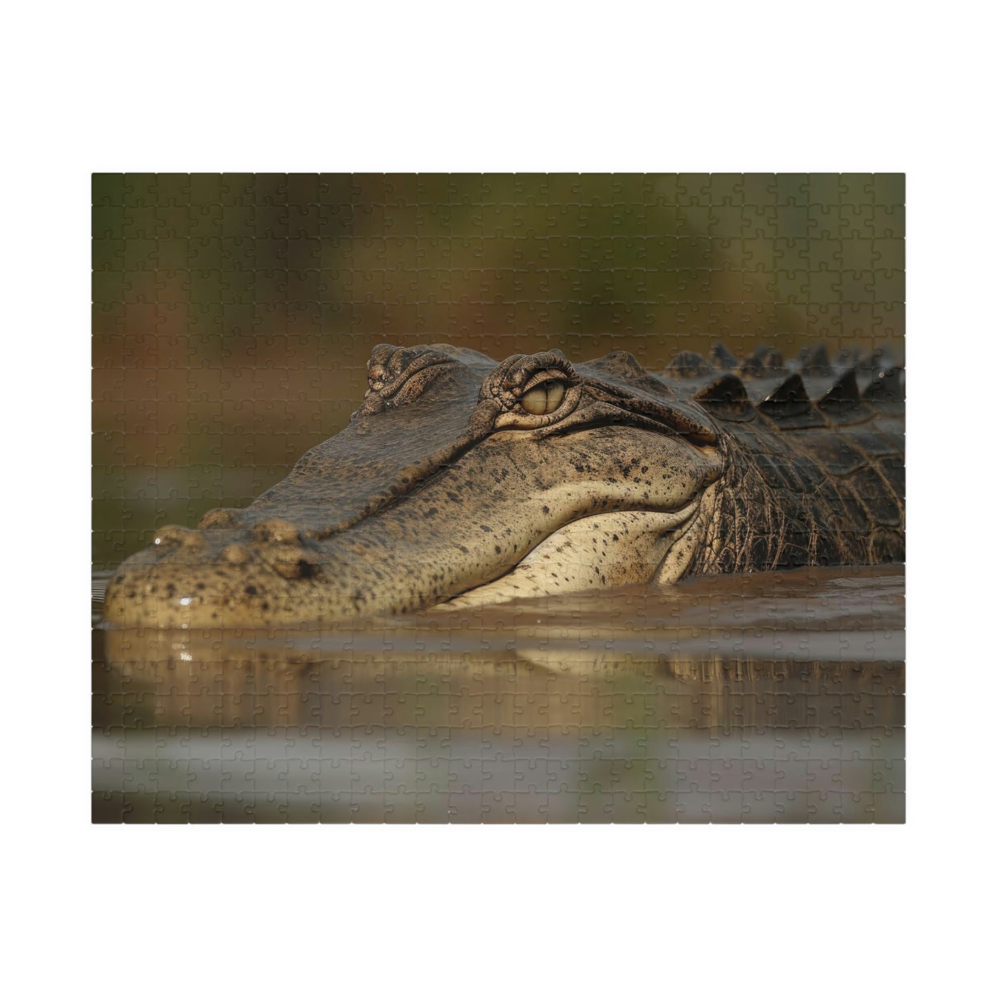 Crocodile Puzzle (500, 1014-piece)