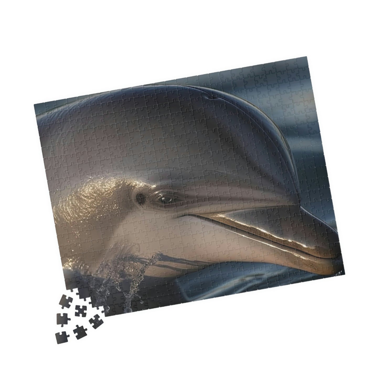 Dolphin Puzzle (500, 1014-piece)