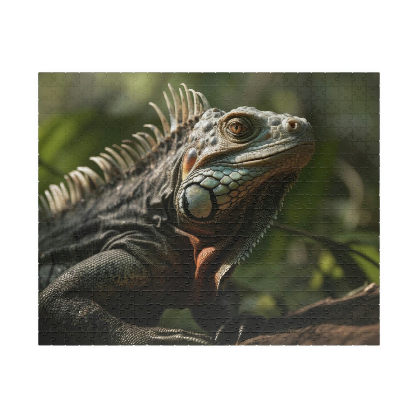 Iguana Puzzle (500, 1014-piece)