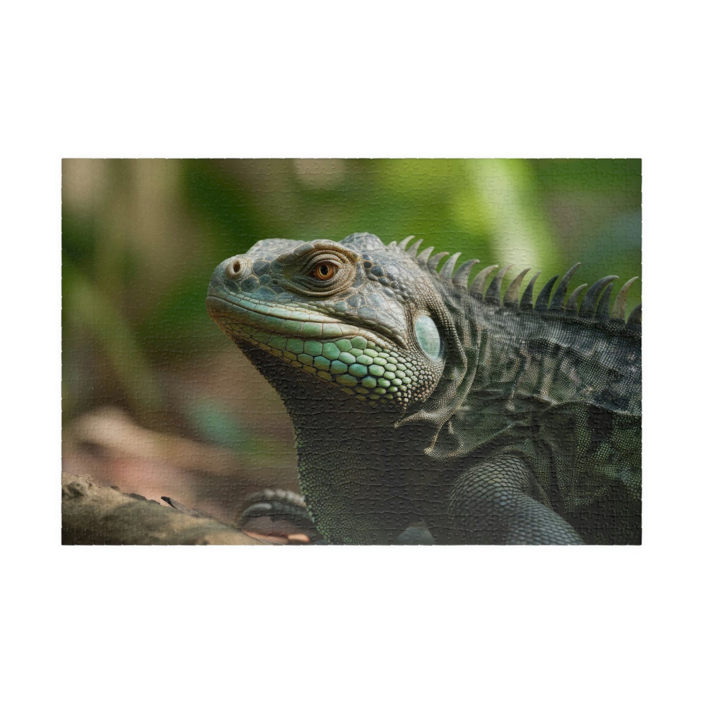 Iguana Puzzle (500, 1014-piece)