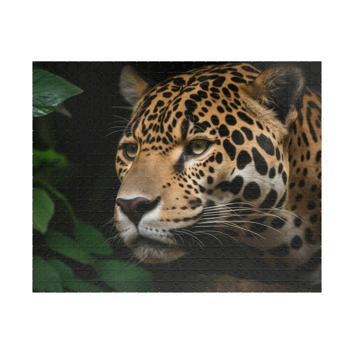Jaguar Puzzle (500, 1014-piece)