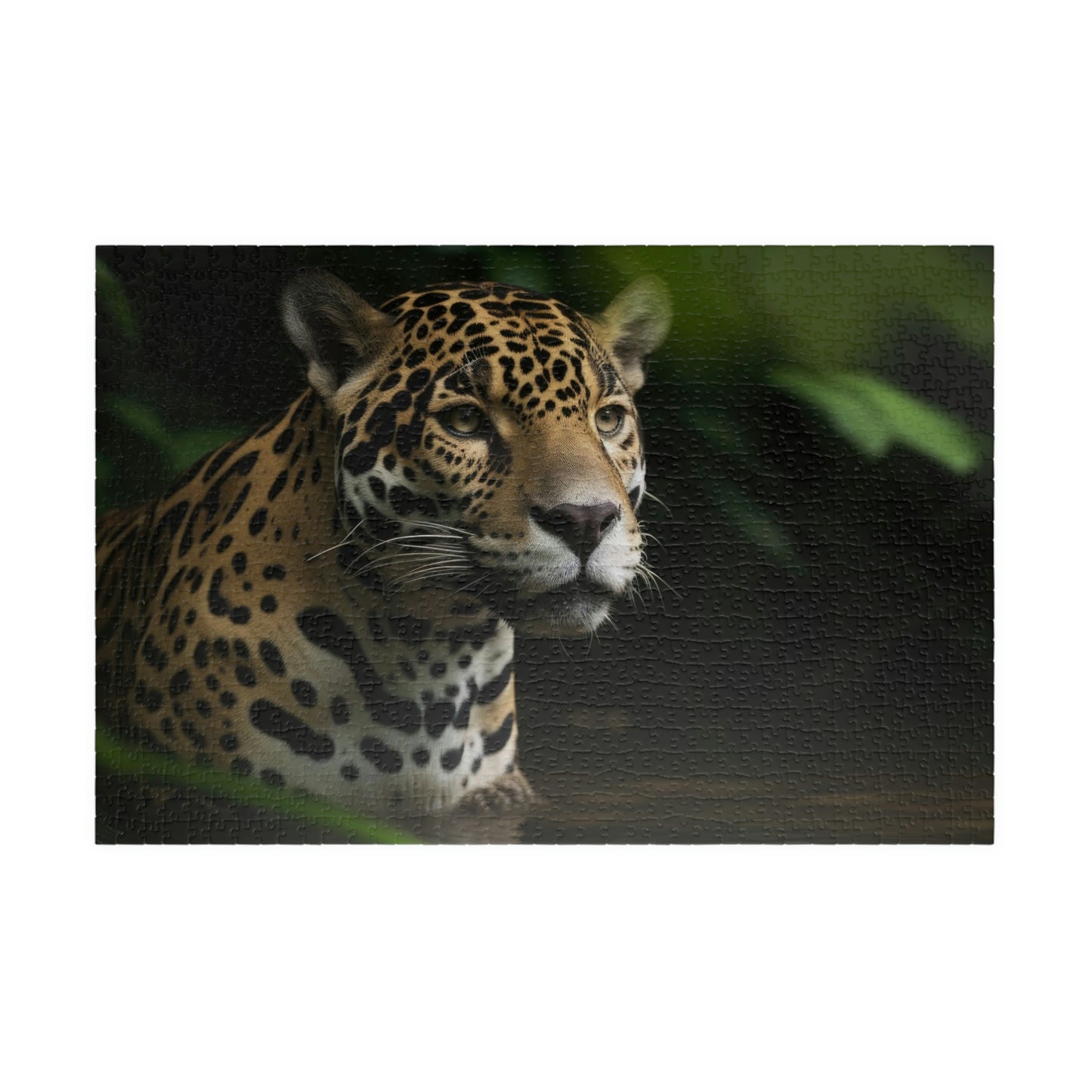 Jaquar Puzzle (500, 1014-piece)
