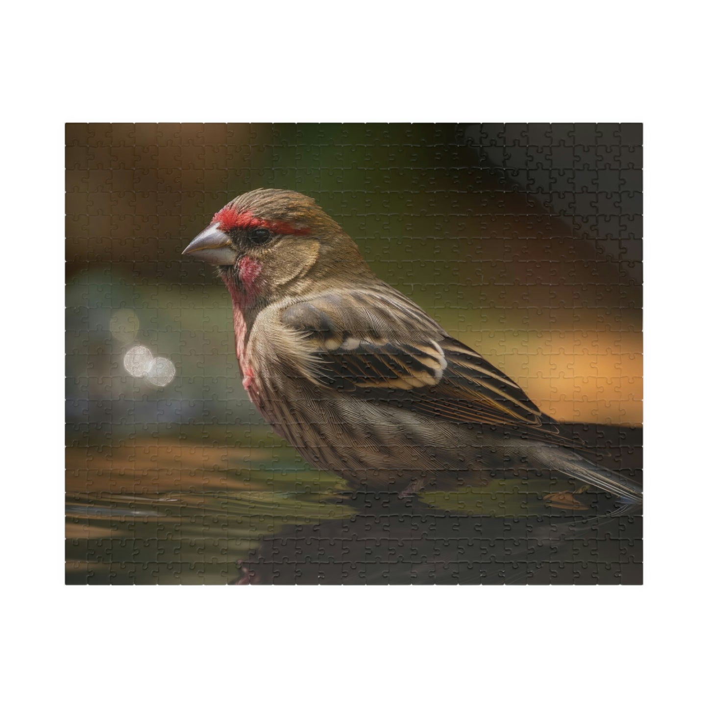 Finch Puzzle (500, 1014-piece)