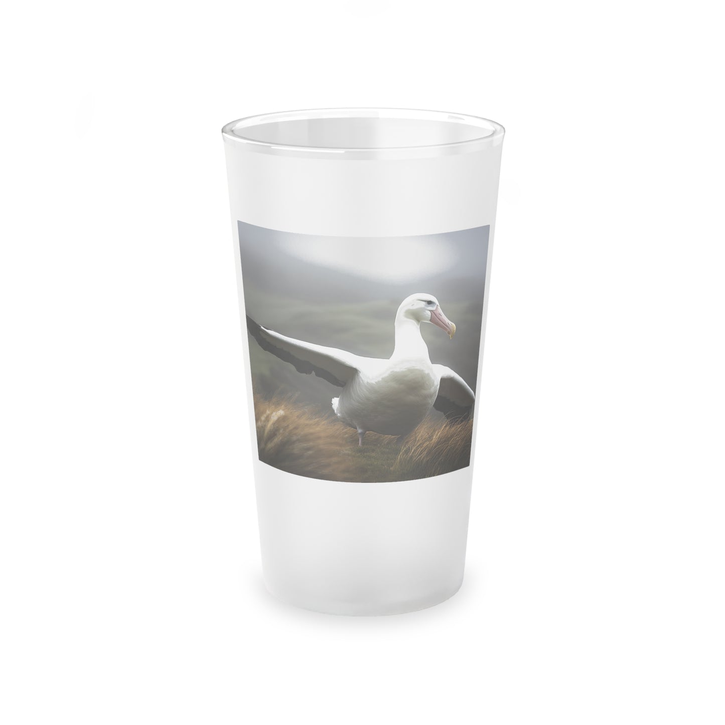albatross glass