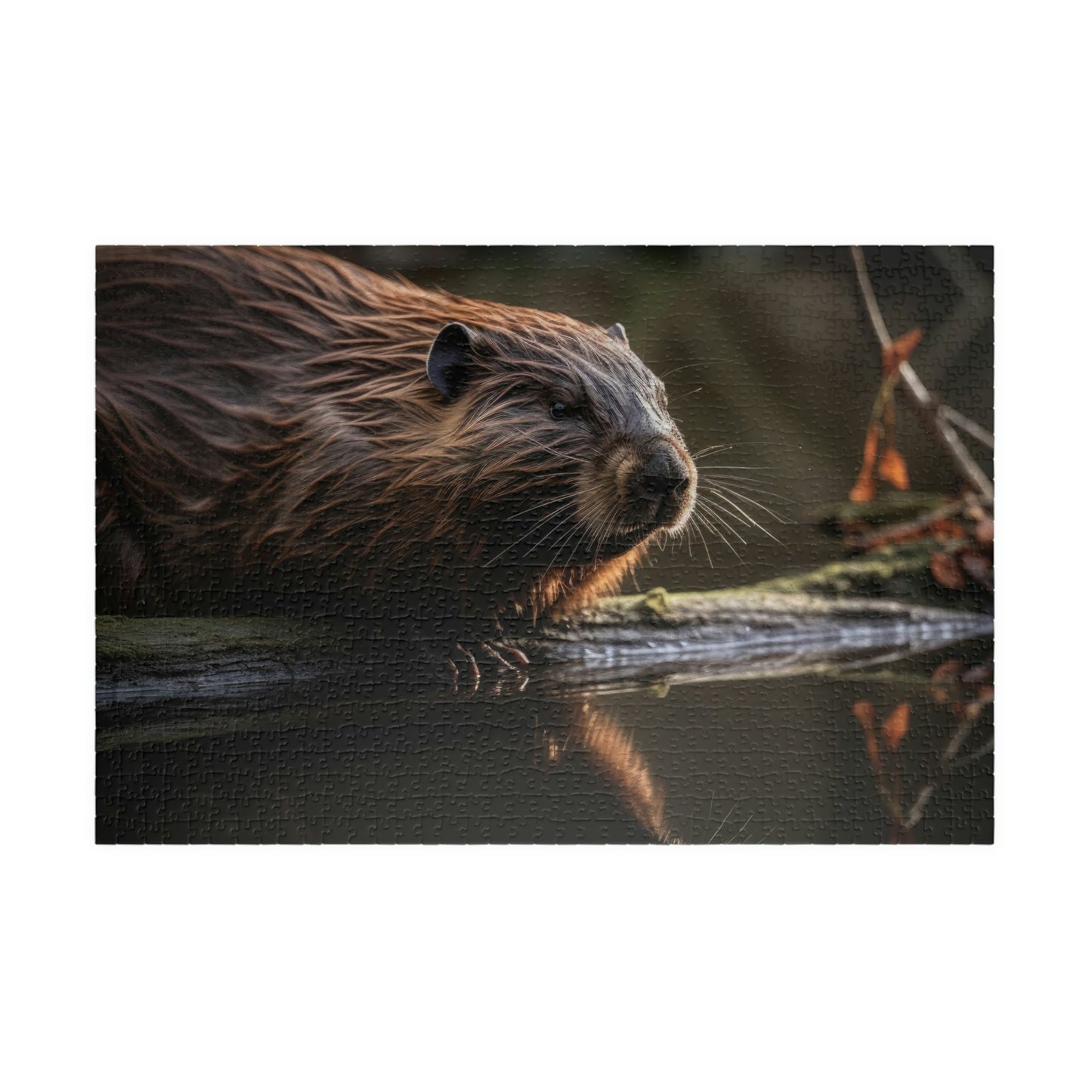 beaver puzzle