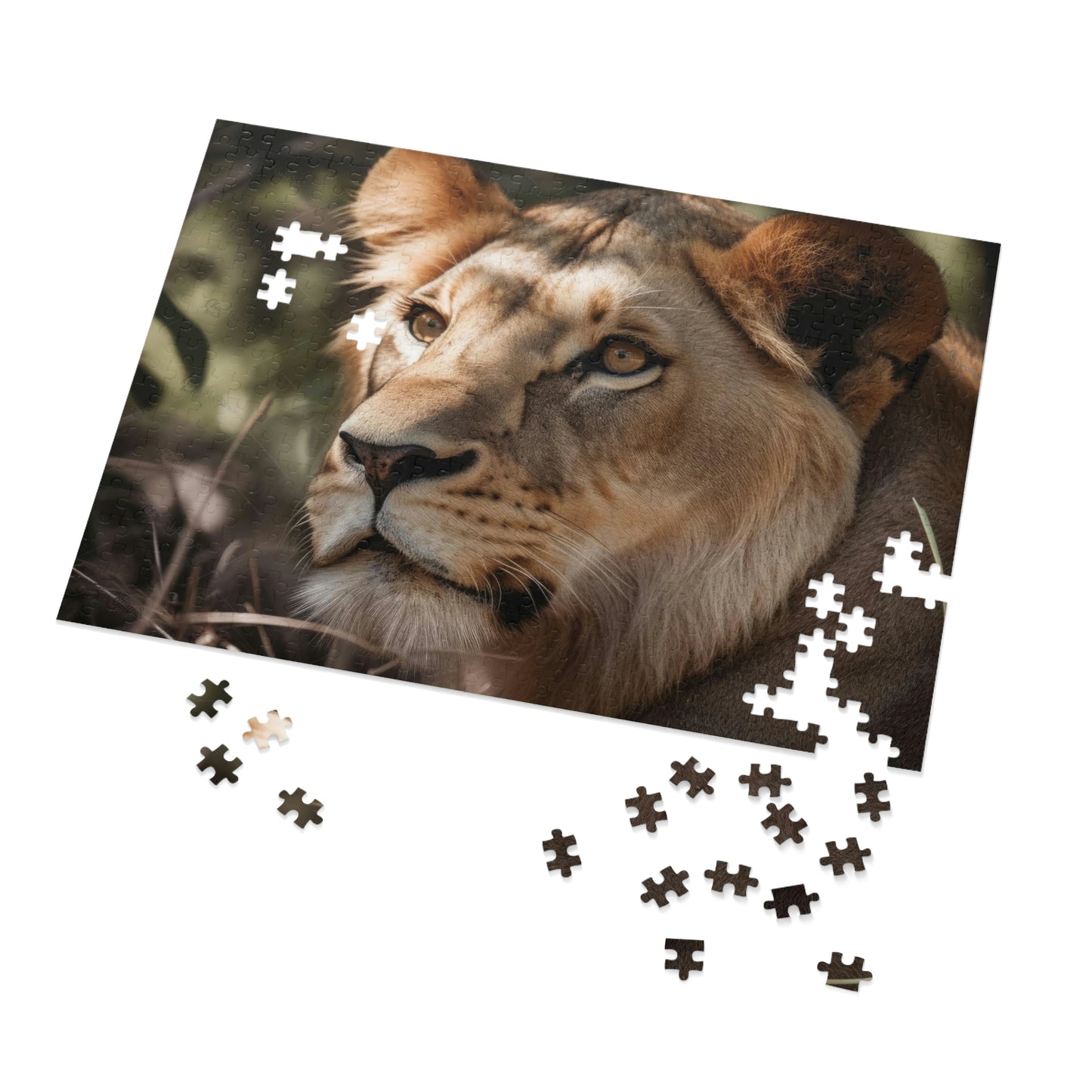 Majestic Lion 2 Puzzle: (500, 1000 pc)
