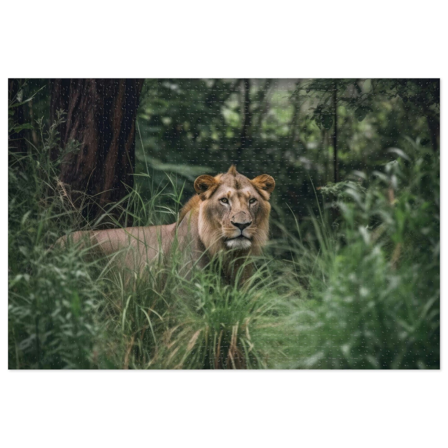 Majestic Lion 3 Puzzle: (500, 1000 pc)